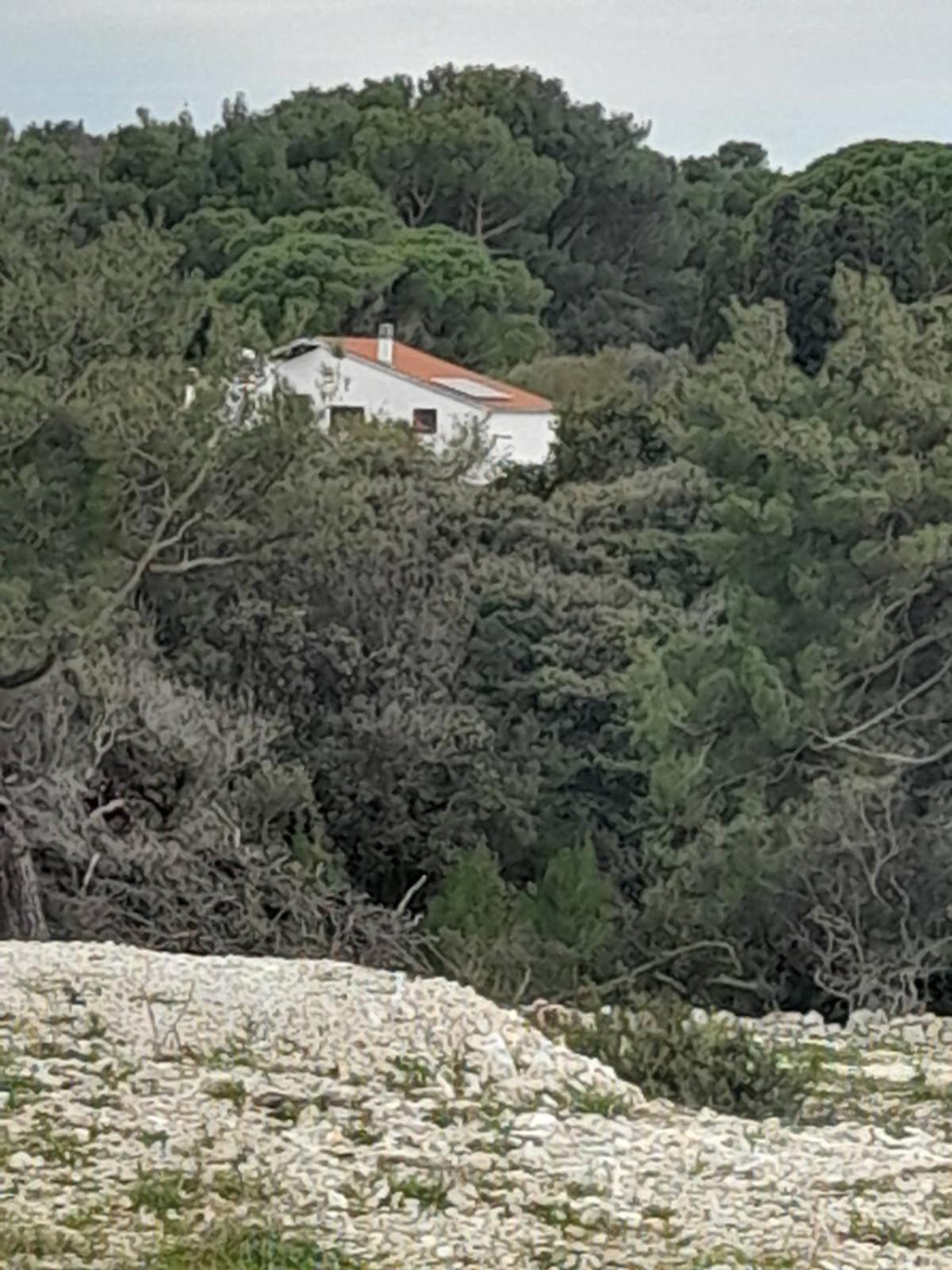 Eco Secluded Apartments Zabodarski Čunski Exteriör bild